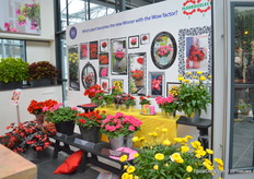 The genomineerde voor de FleuroStar awards; Xerochrysum bracteatum Granvia van MNP Flowers, Pelargonium zonale Survivor Idols Rosalinda van Dümmen Orange, Pelargonium hybrida Red Explosion van Florensis, Begonia x hybrida Viking Red on Chocolate van Sakata Ornamentals en de Begonia elatior Dreams Garden MacaRouge van Beekenkamp Plants welke ook de award gewonnen heeft vorige week donderdag.